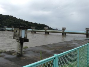 1185983_426447727472558_139763207_n.jpg高瀬堰