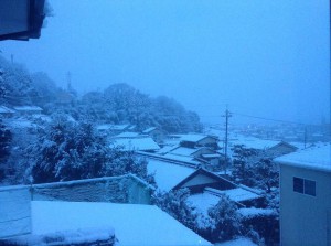 unnamed.jpg雪